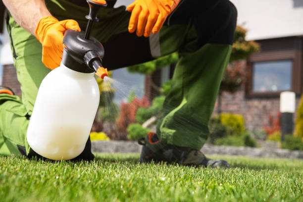 Best Pest Control Near Me in Niwot, CO