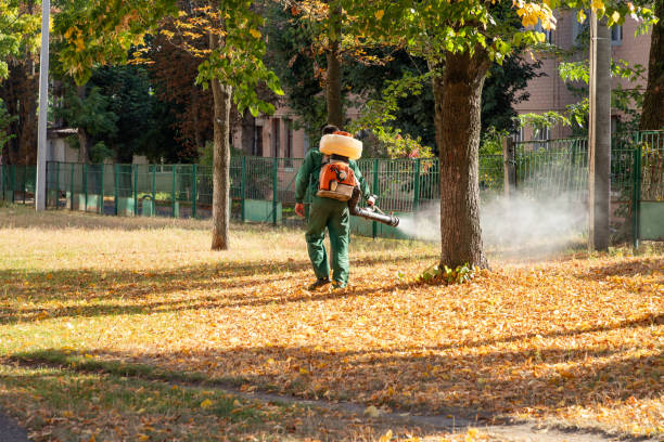 Professional Pest Control in Niwot, CO